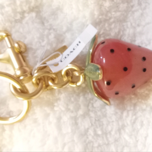 CoachX Strawberry Keychain/Bagtag - Picture 3 of 8